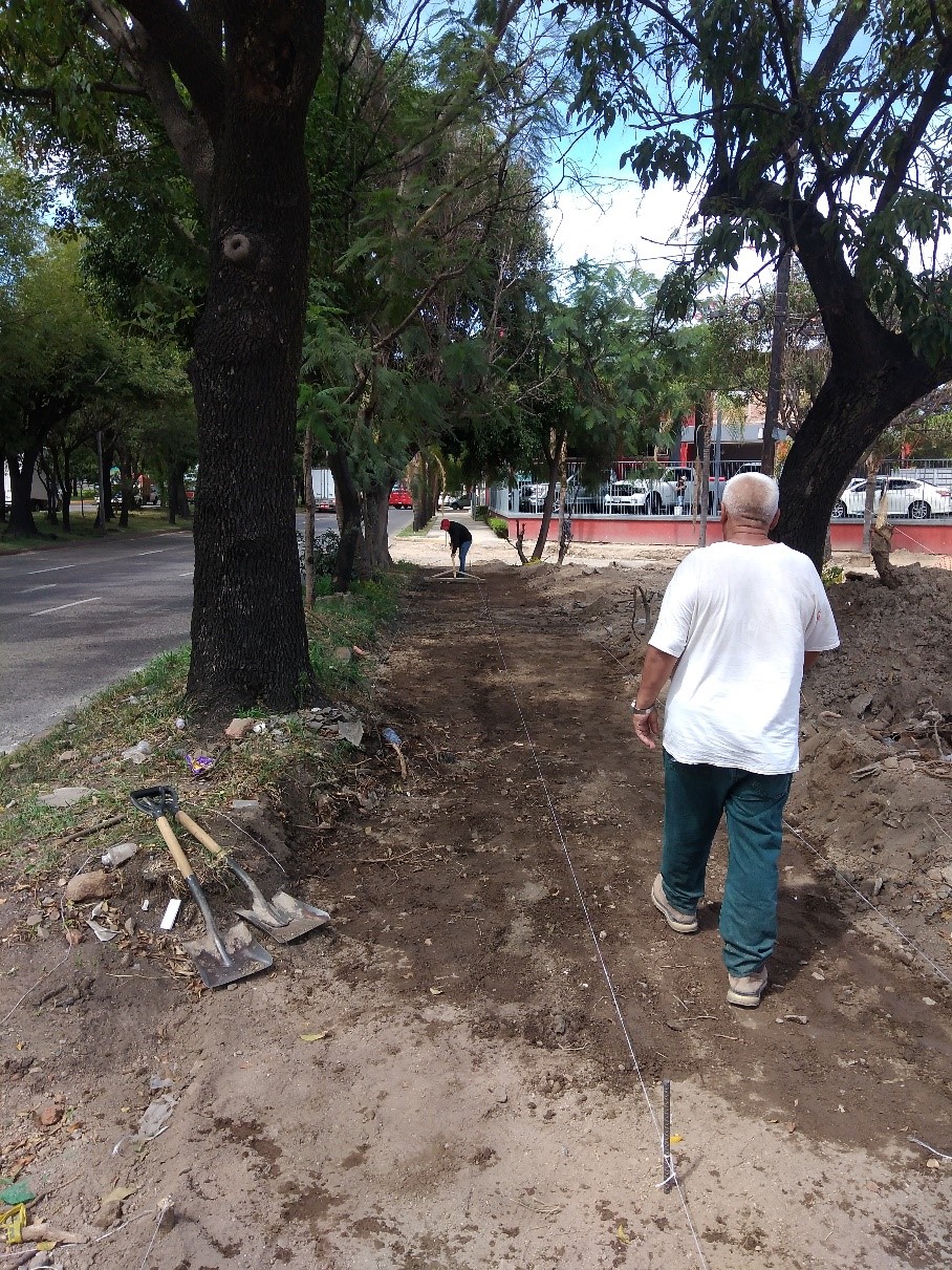 Imagen del proyecto