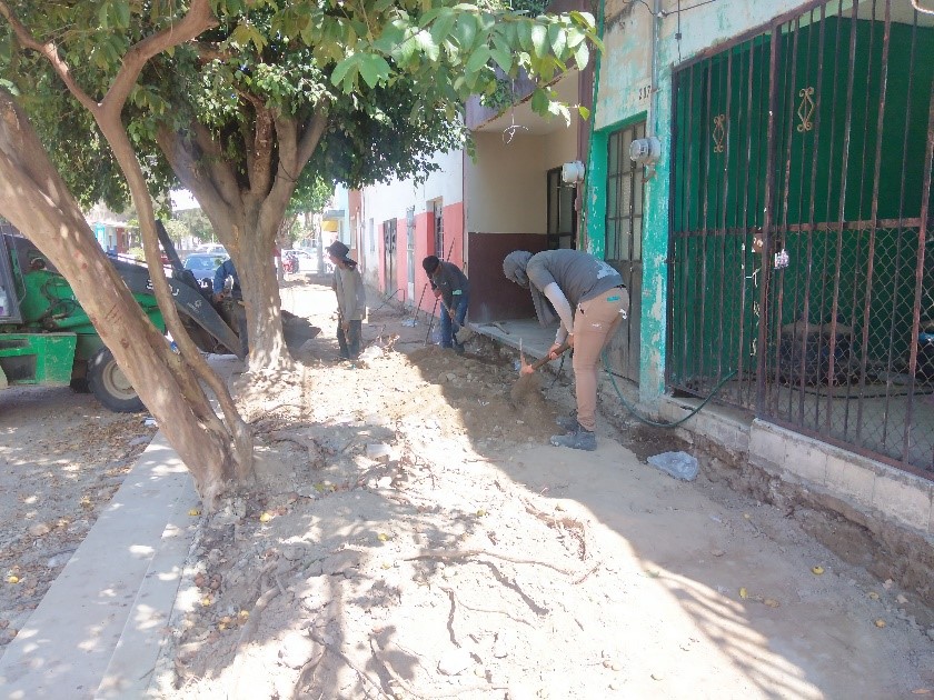 Imagen del proyecto