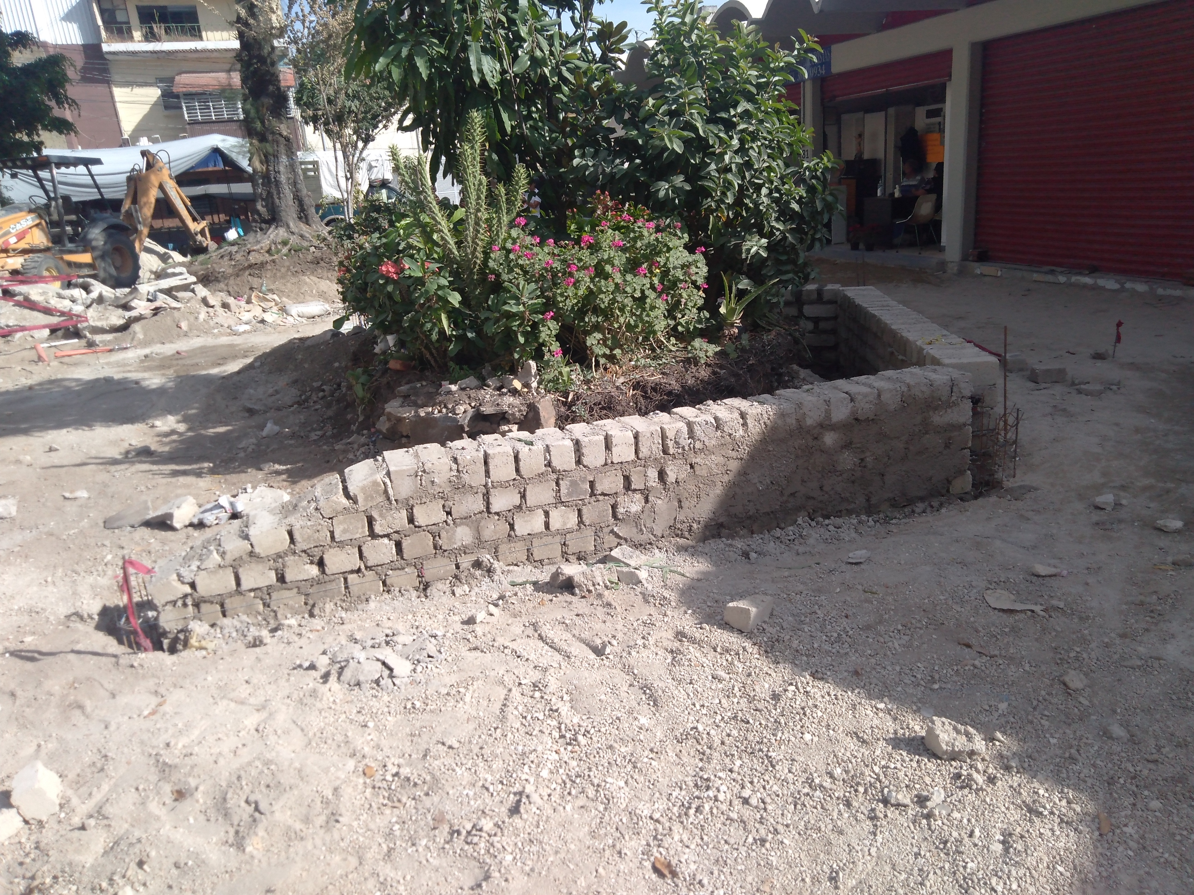 Imagen del proyecto