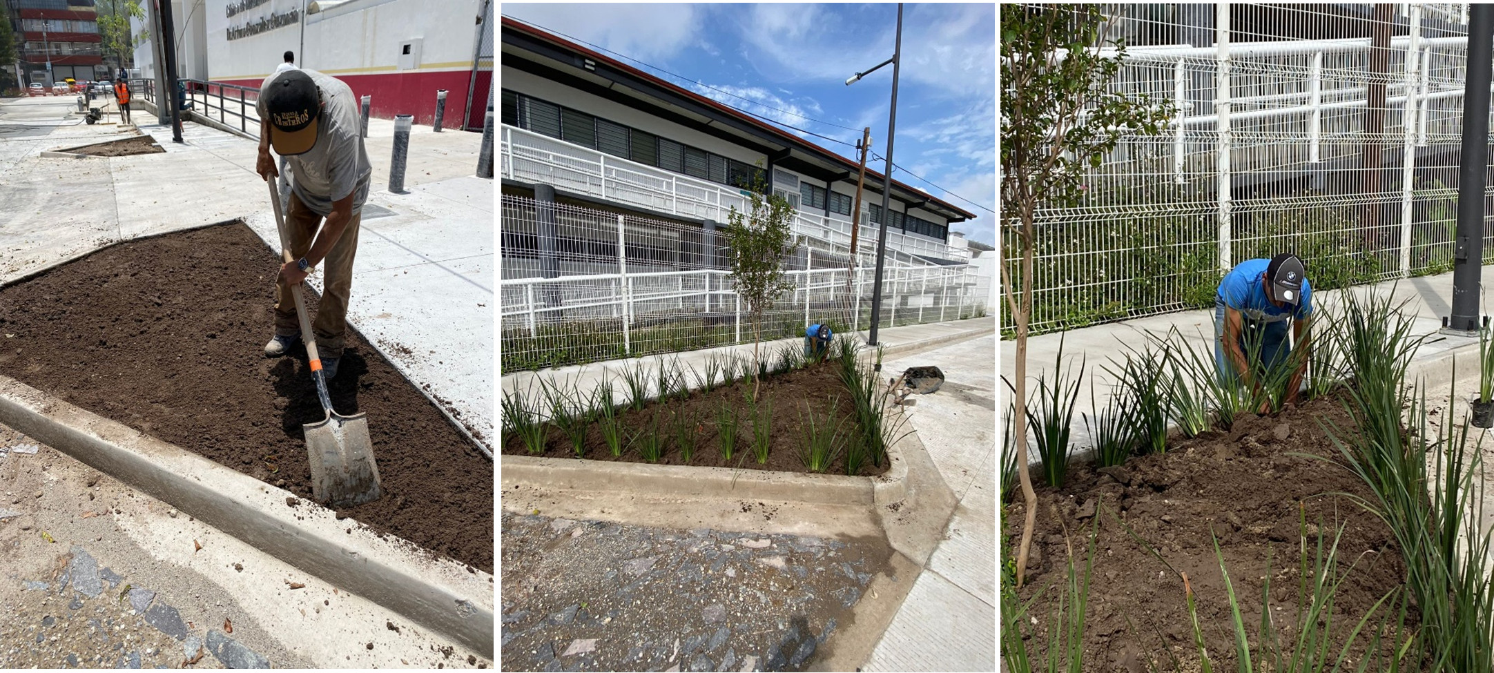 Imagen del proyecto