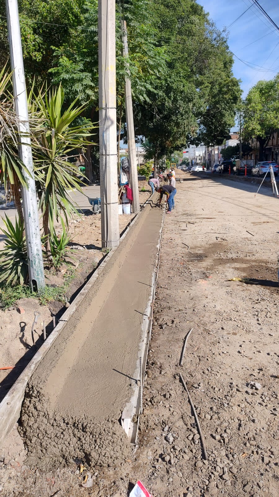 Imagen del proyecto