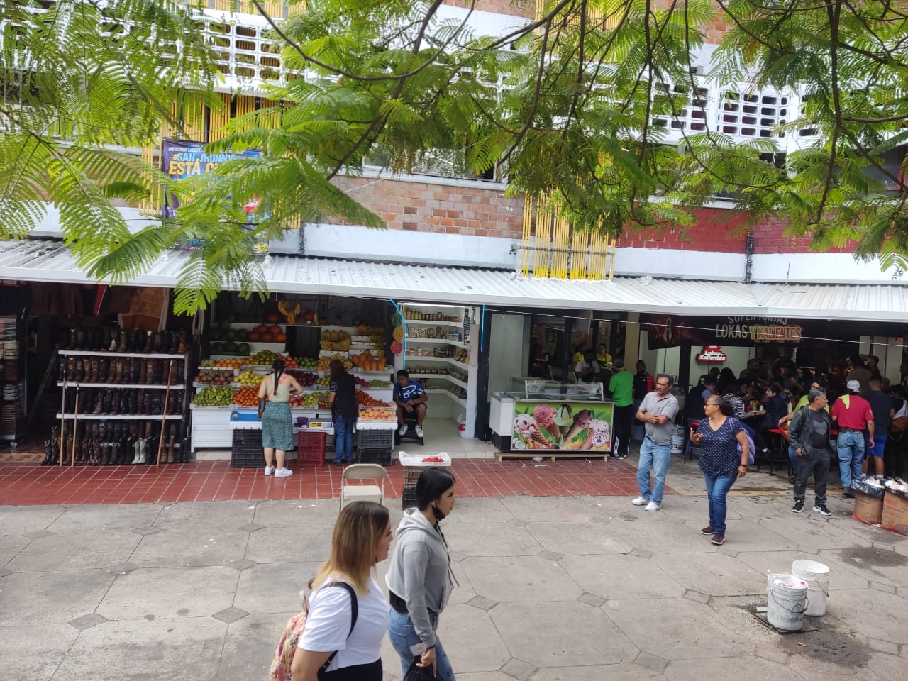 Imagen del proyecto