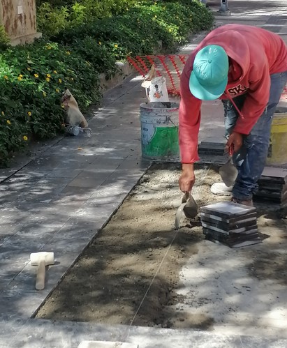 Imagen del proyecto