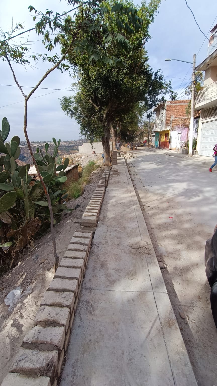 Imagen del proyecto