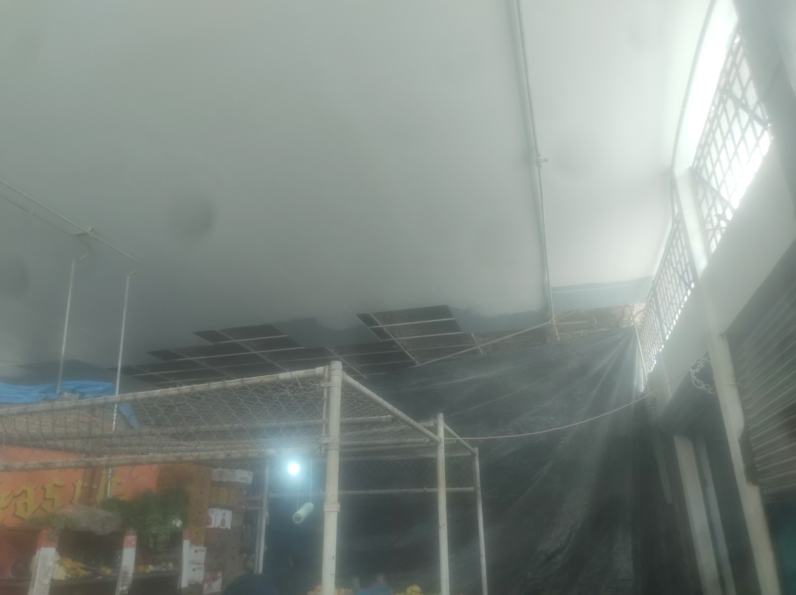 Imagen del proyecto