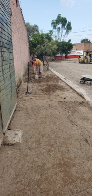 Imagen del proyecto