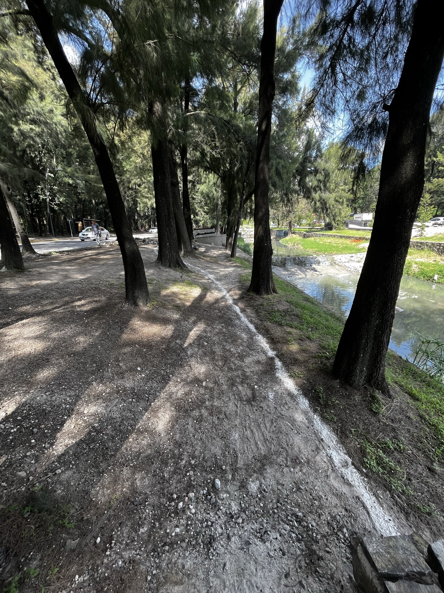 Imagen del proyecto