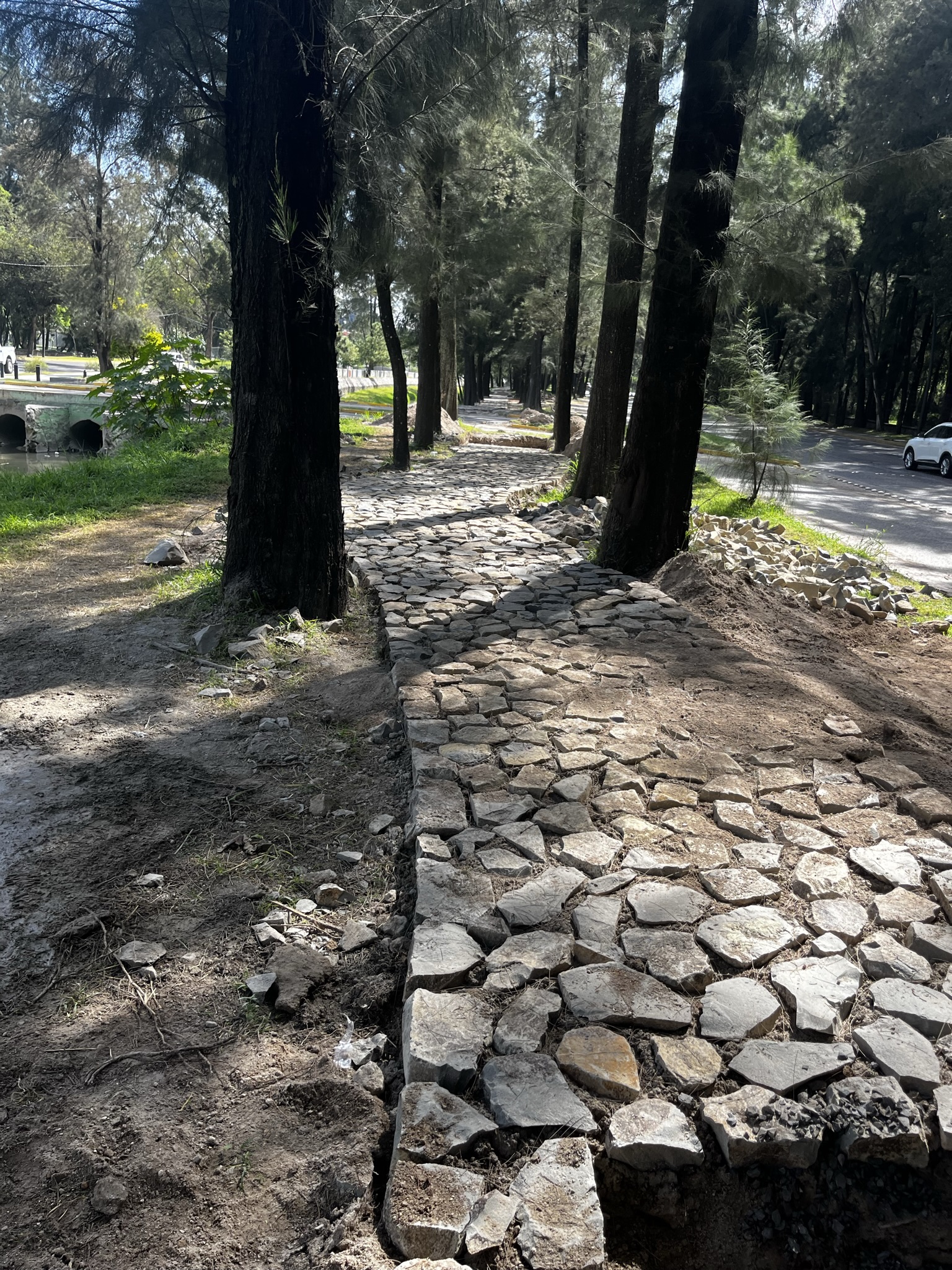 Imagen del proyecto