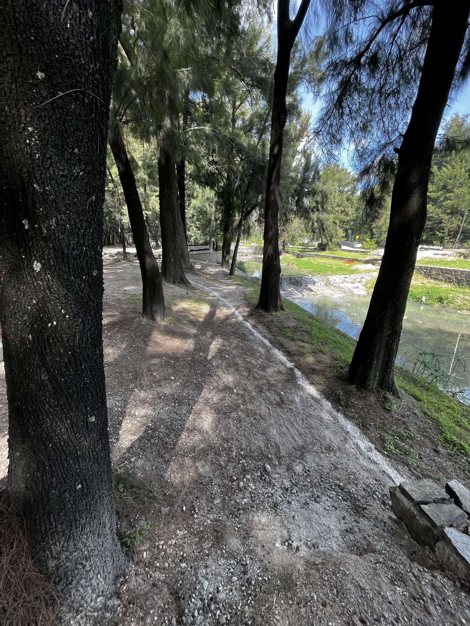 Imagen del proyecto