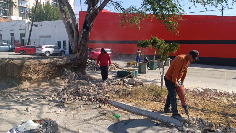 Imagen del proyecto