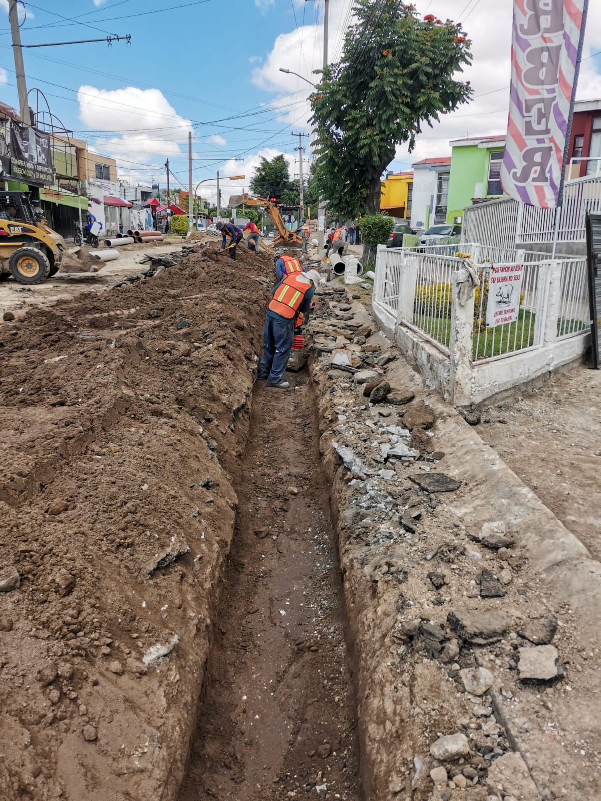 Imagen del proyecto