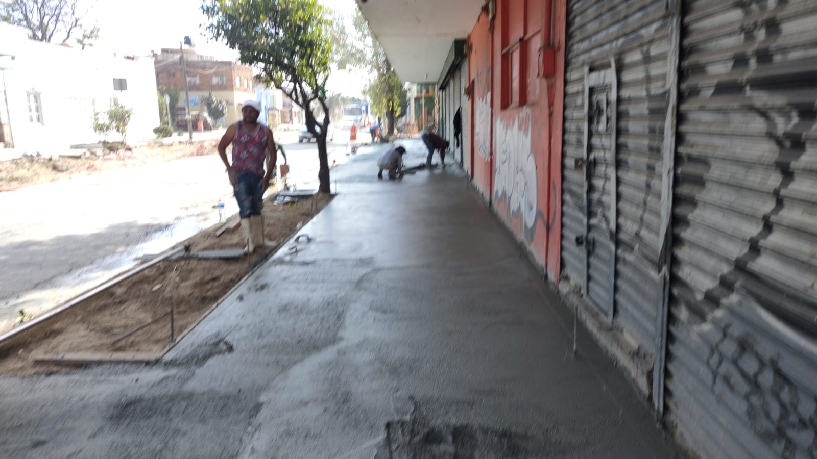 Imagen del proyecto