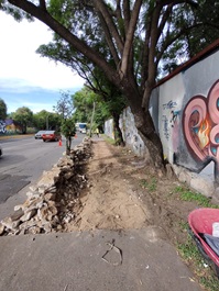 Imagen del proyecto