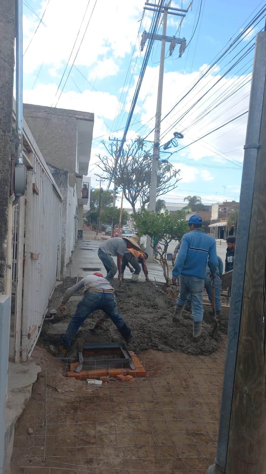 Imagen del proyecto