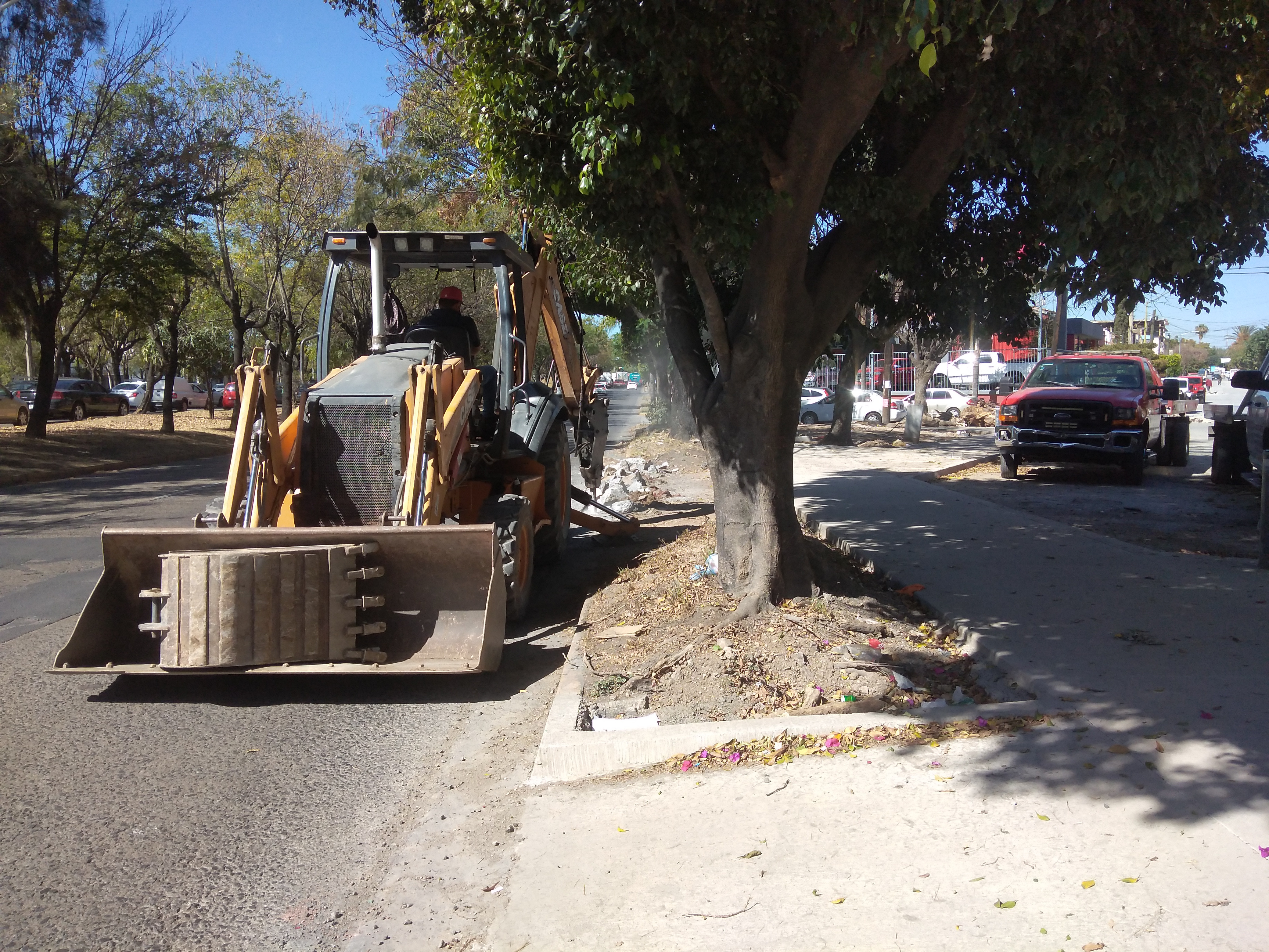 Imagen del proyecto