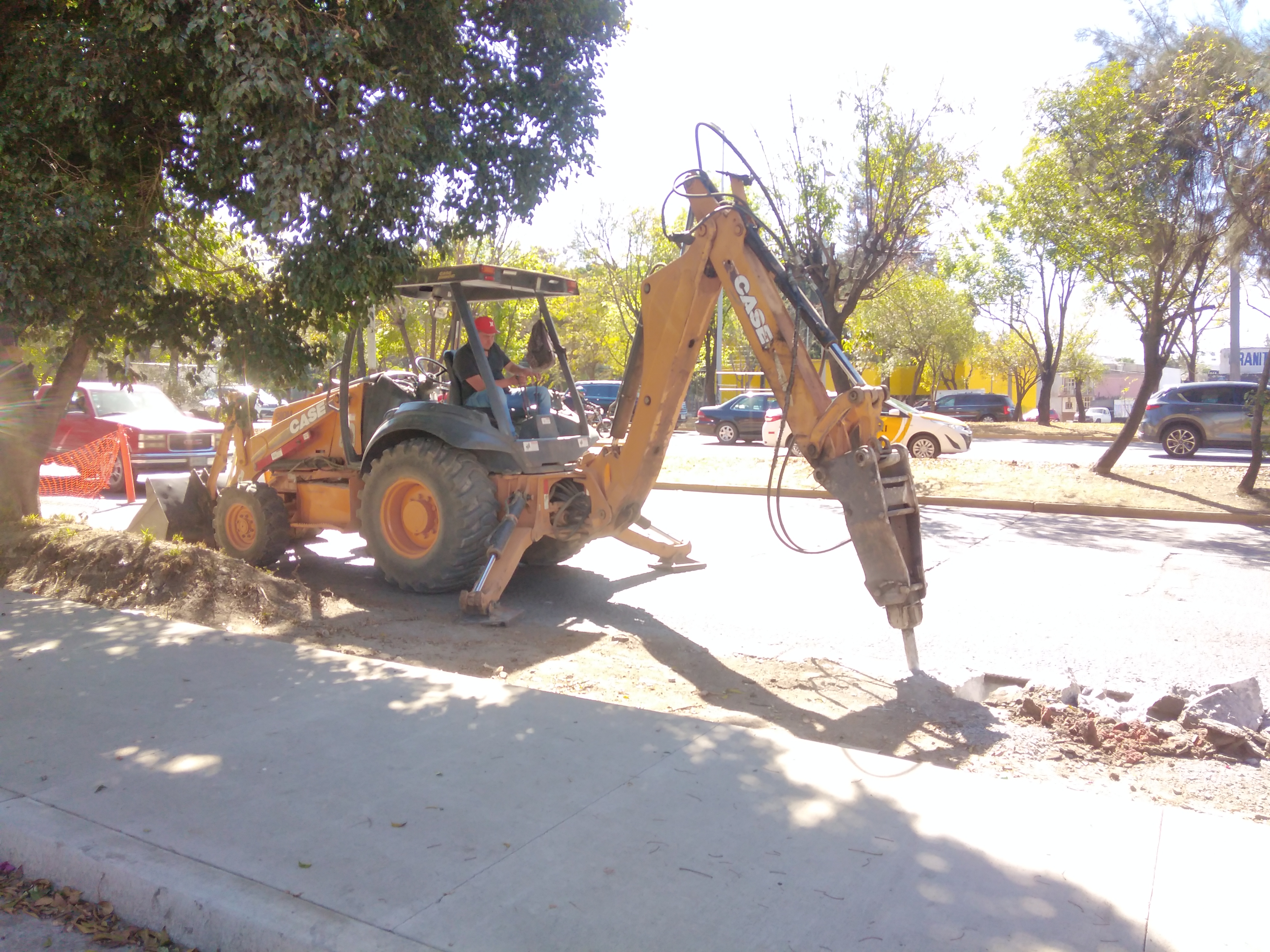 Imagen del proyecto