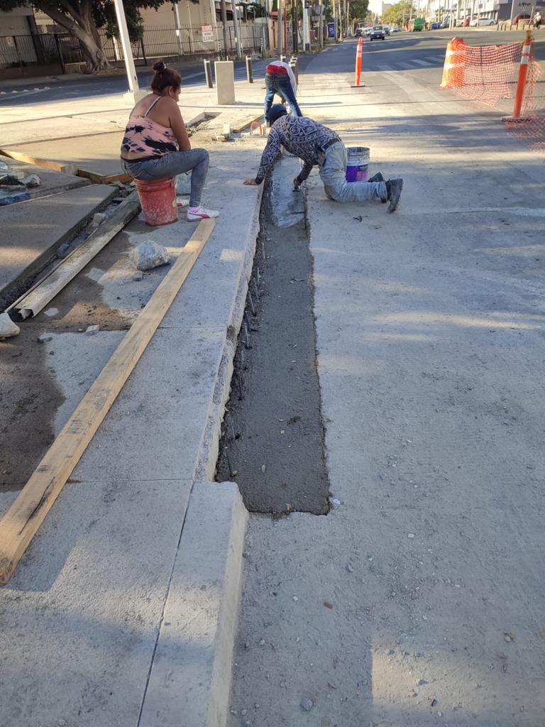 Imagen del proyecto
