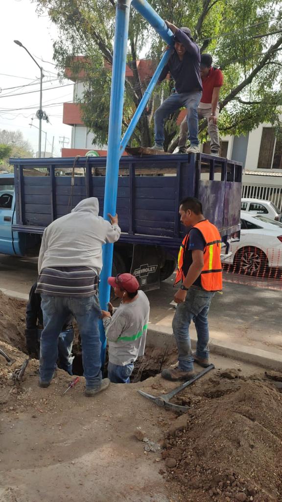 Imagen del proyecto