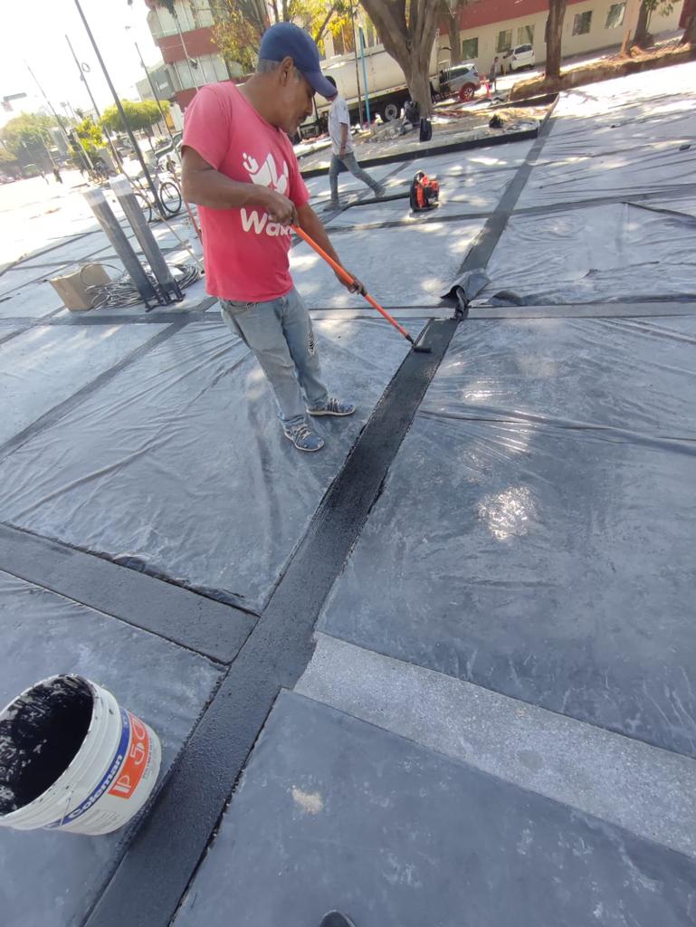 Imagen del proyecto