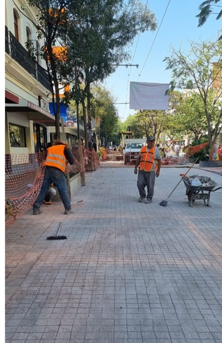 Imagen del proyecto