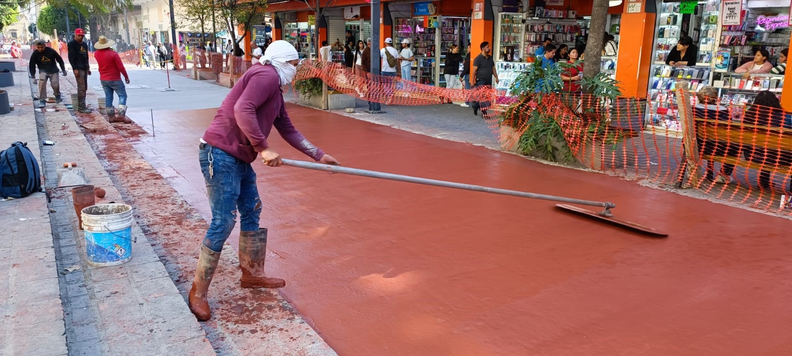 Imagen del proyecto