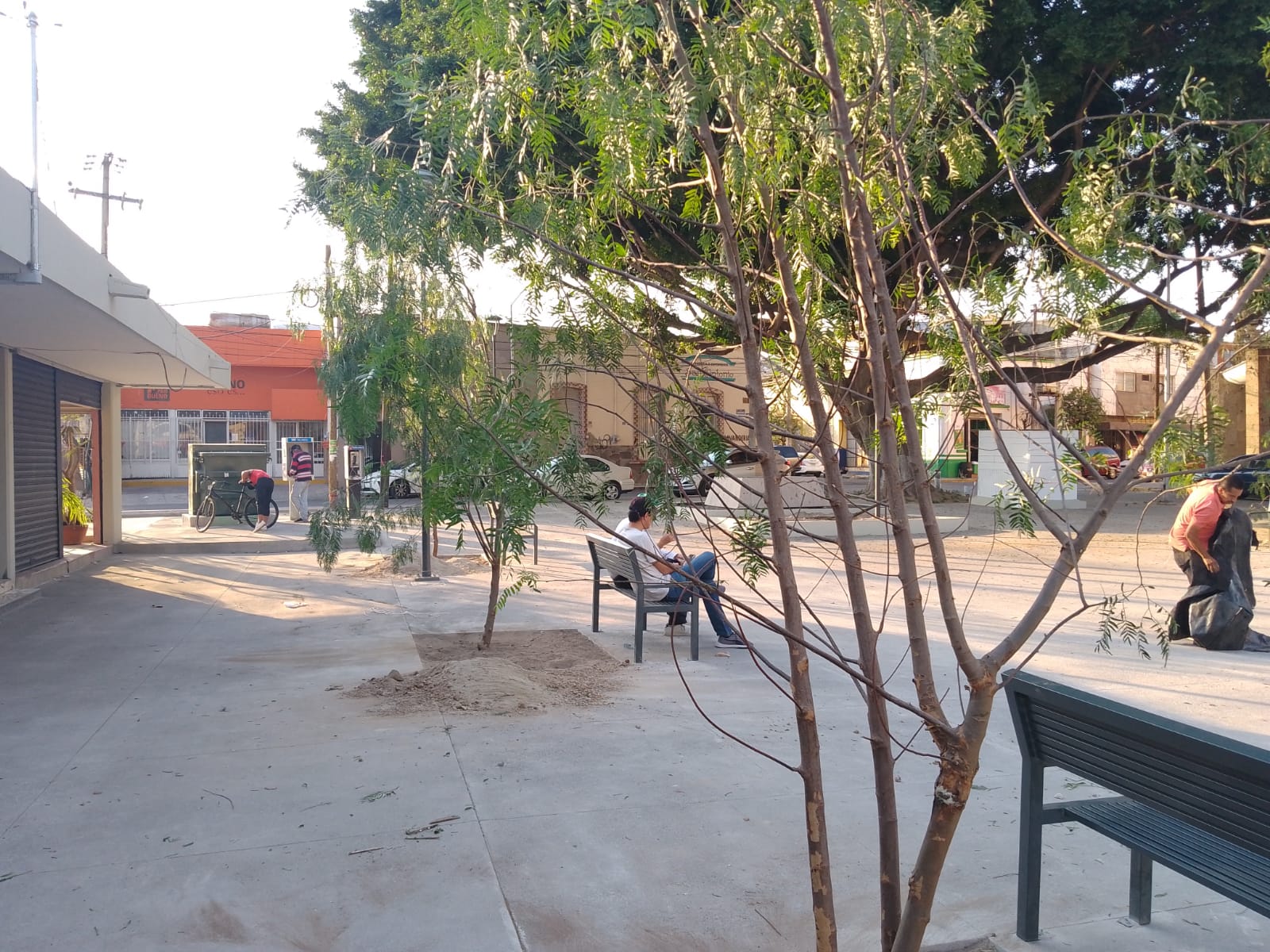 Imagen del proyecto