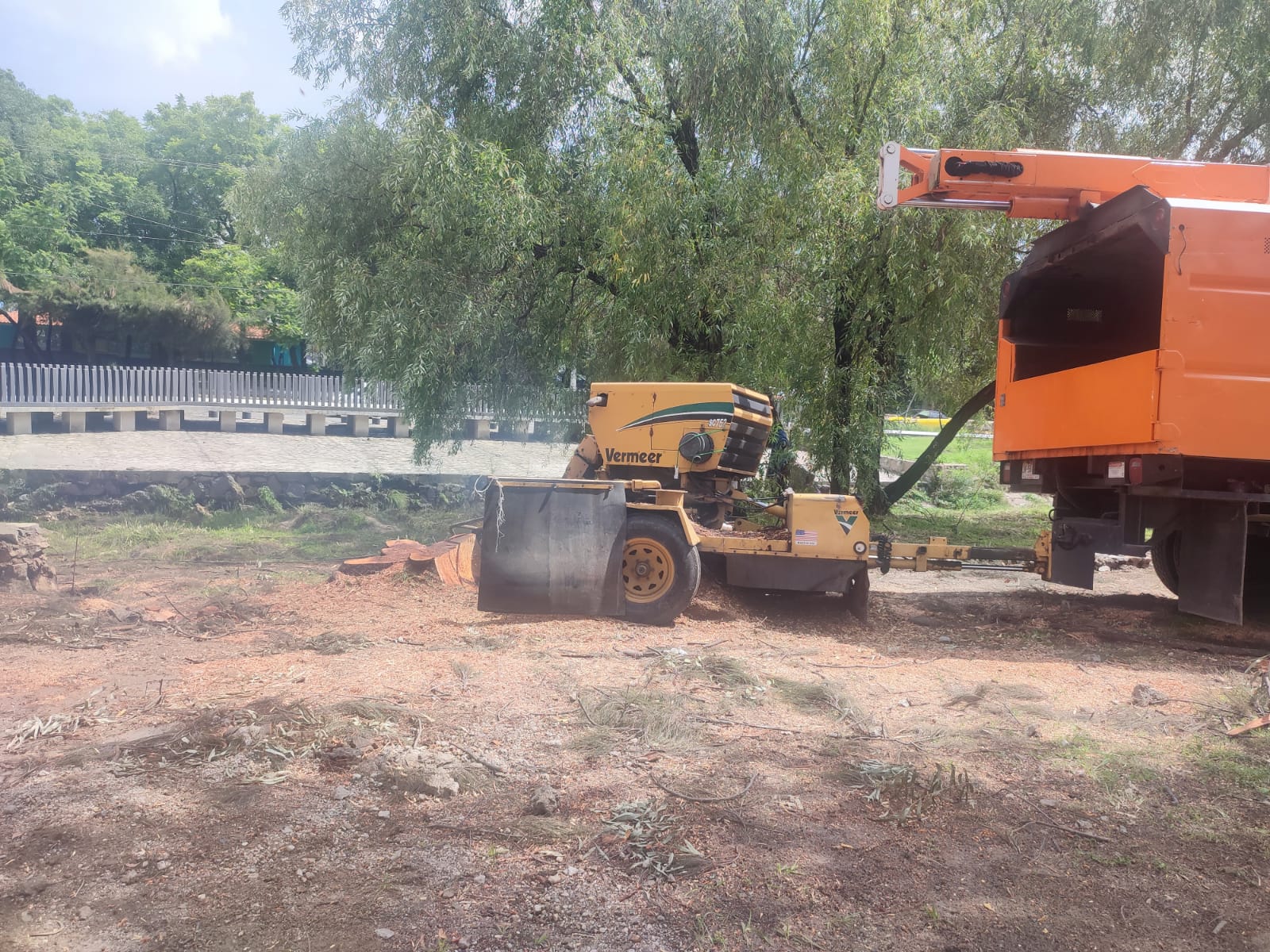 Imagen del proyecto
