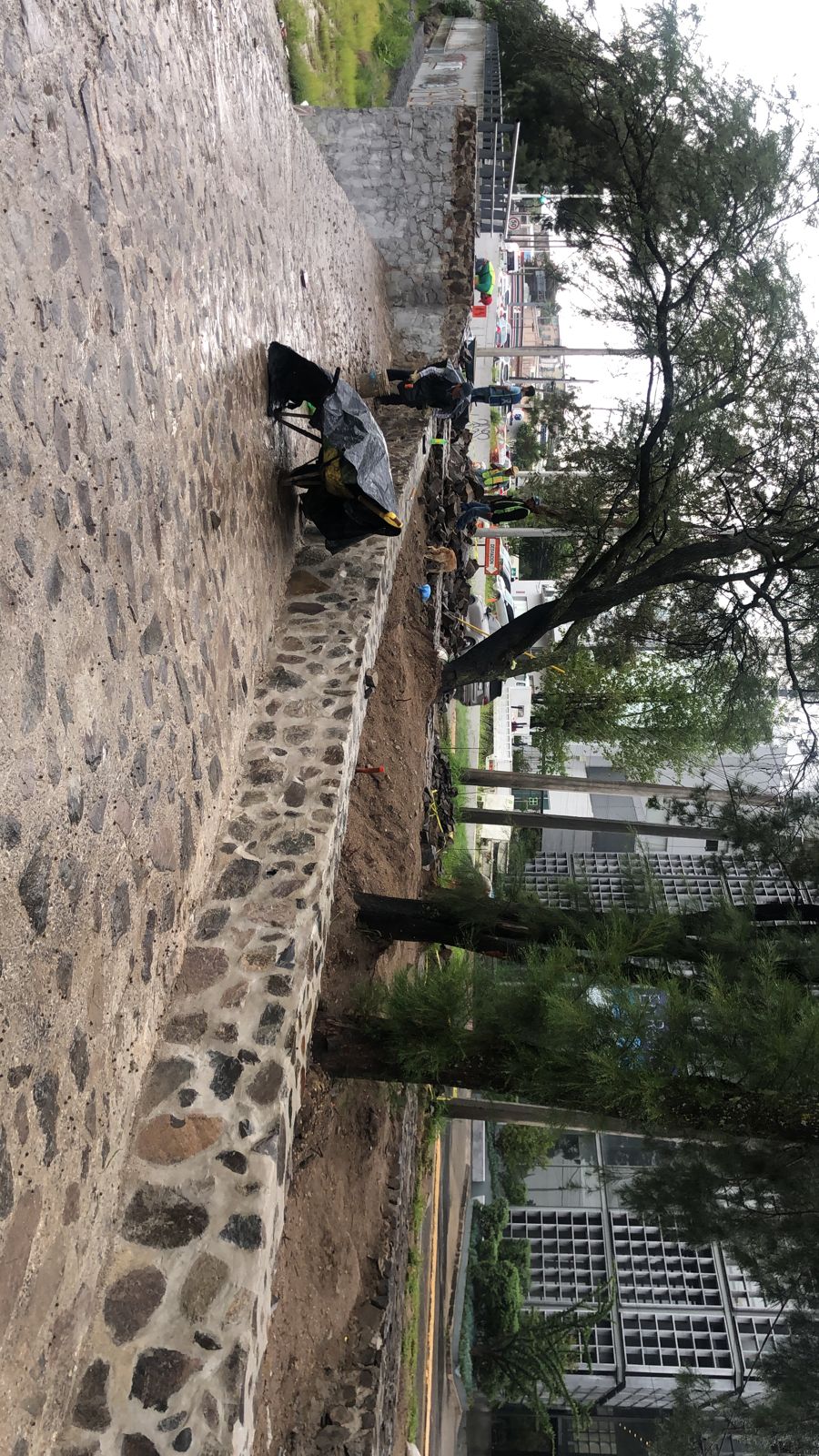 Imagen del proyecto