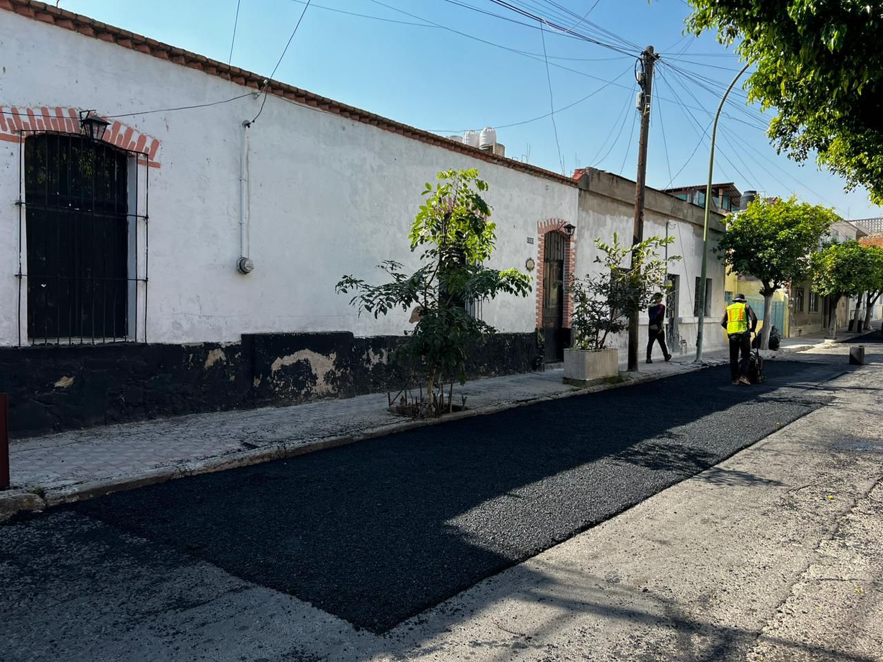 Imagen del proyecto