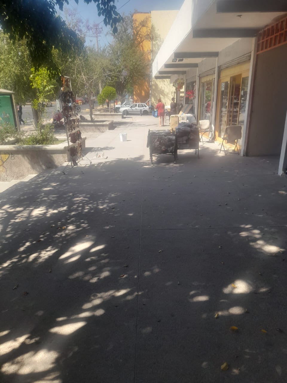 Imagen del proyecto