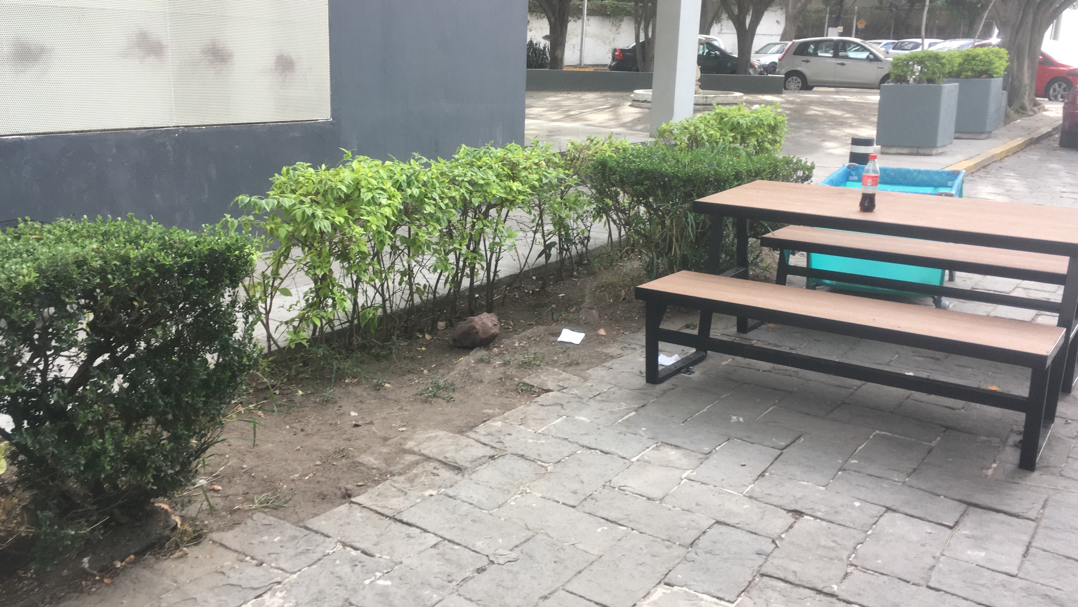 Imagen del proyecto