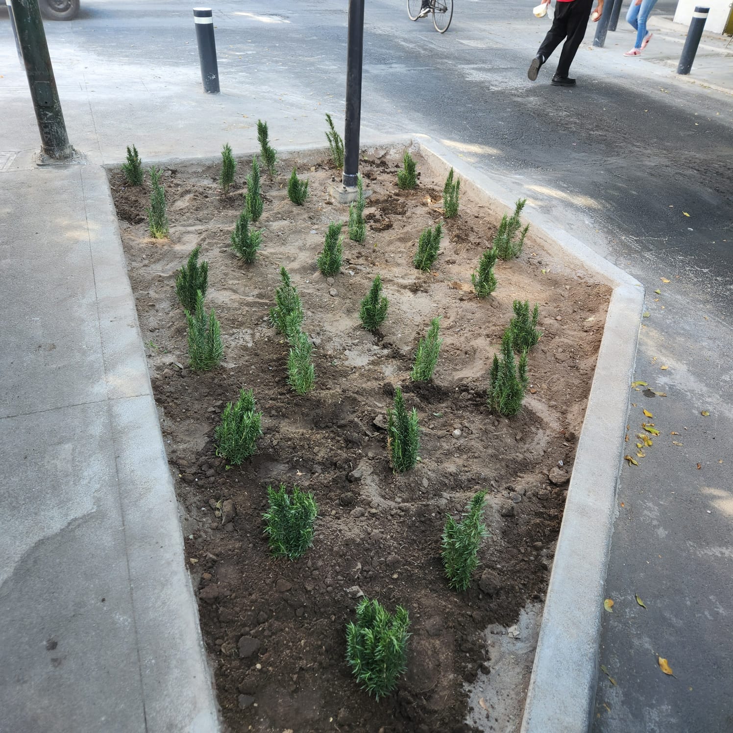 Imagen del proyecto