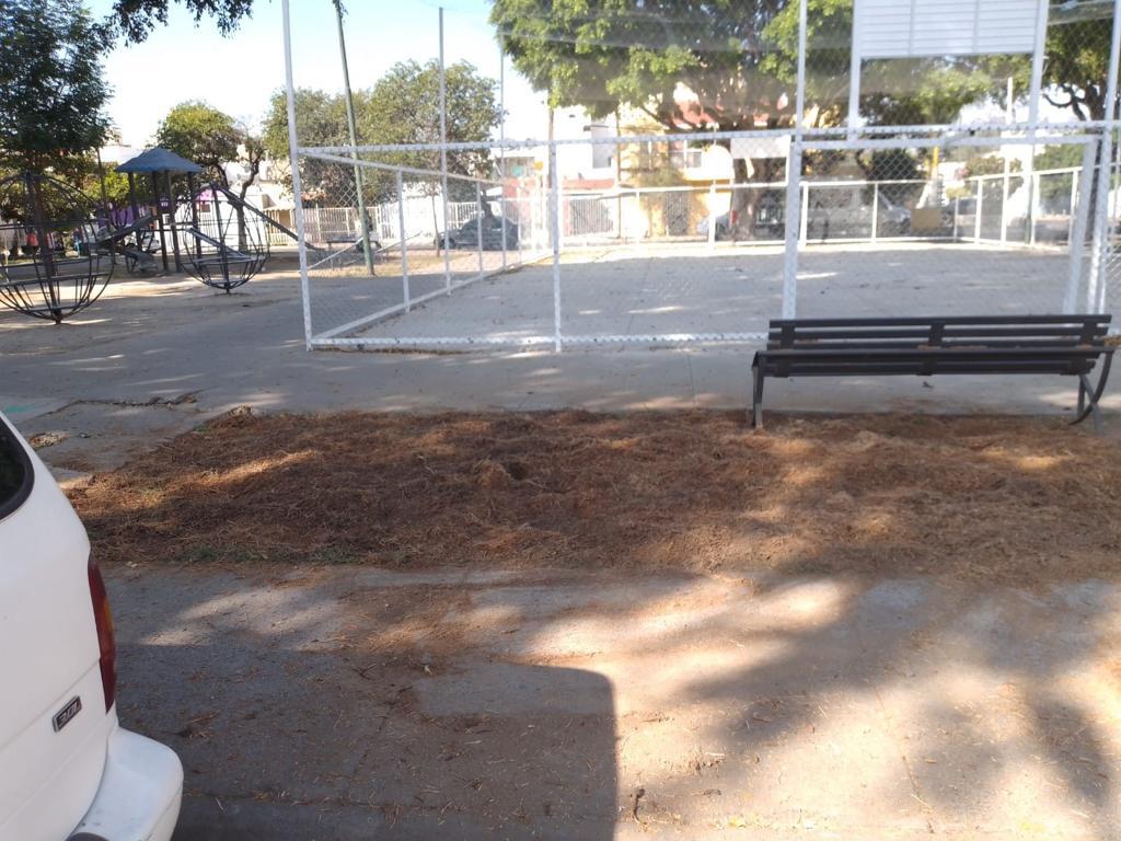 Imagen del proyecto