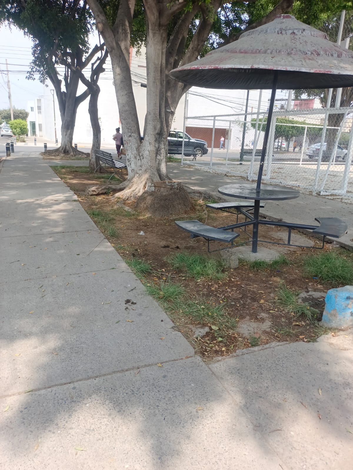 Imagen del proyecto