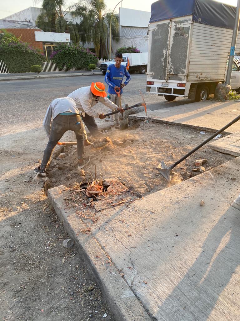 Imagen del proyecto