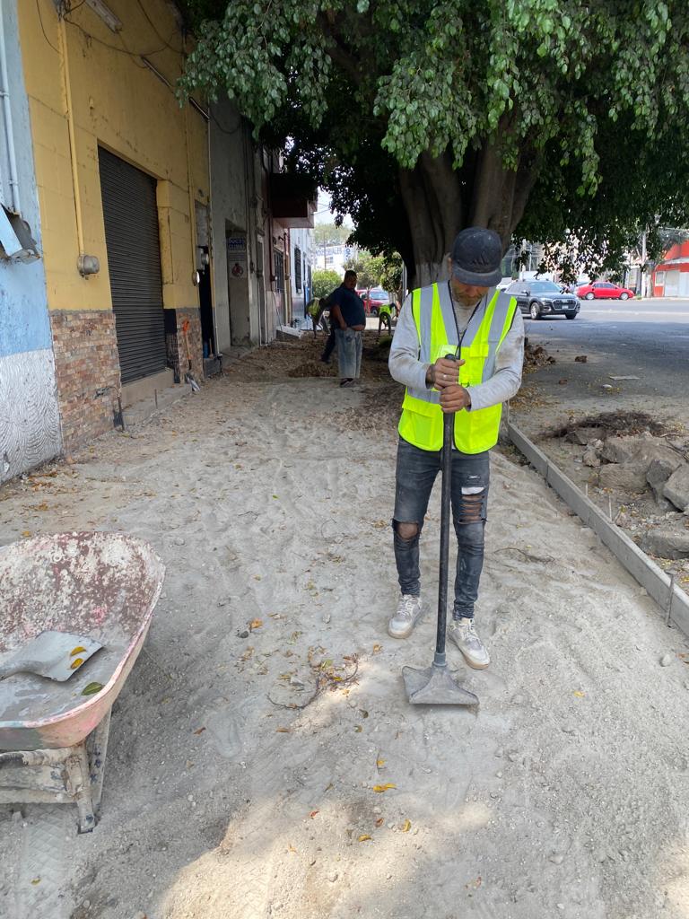 Imagen del proyecto
