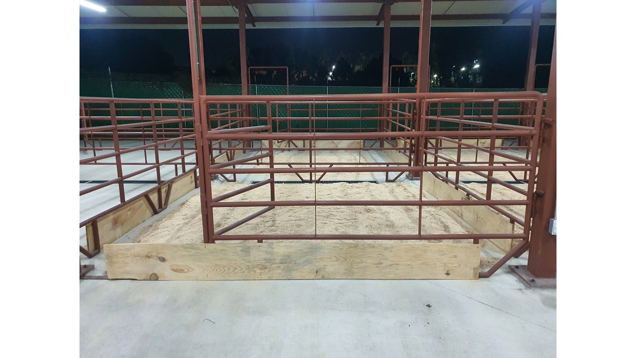 Imagen del proyecto