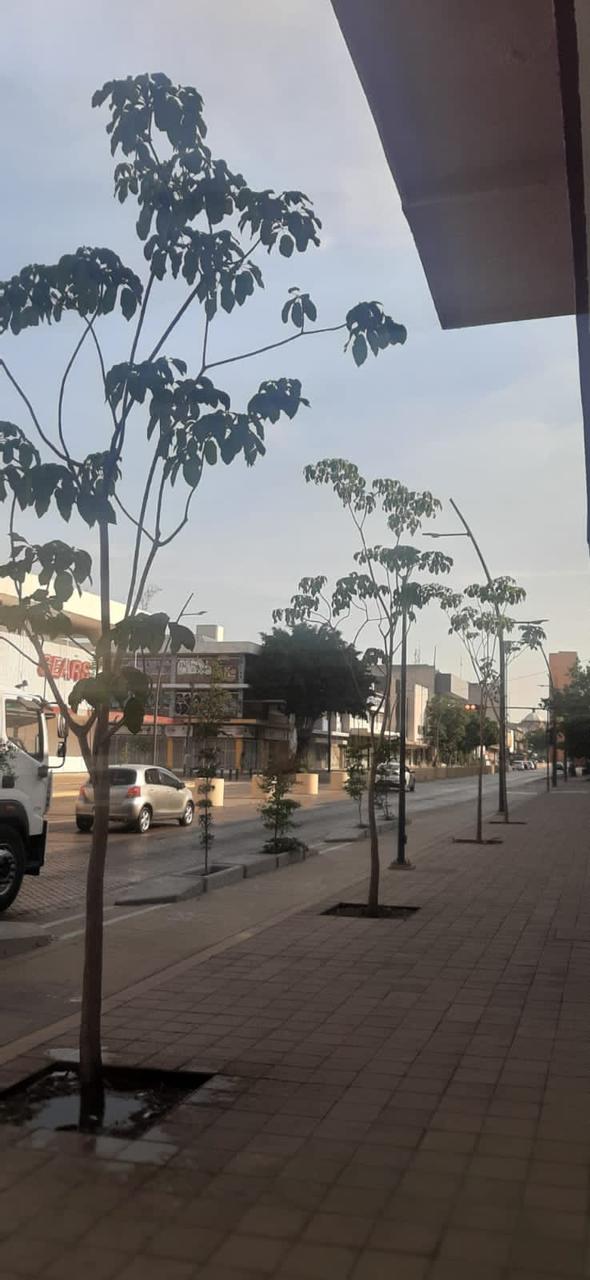 Imagen del proyecto