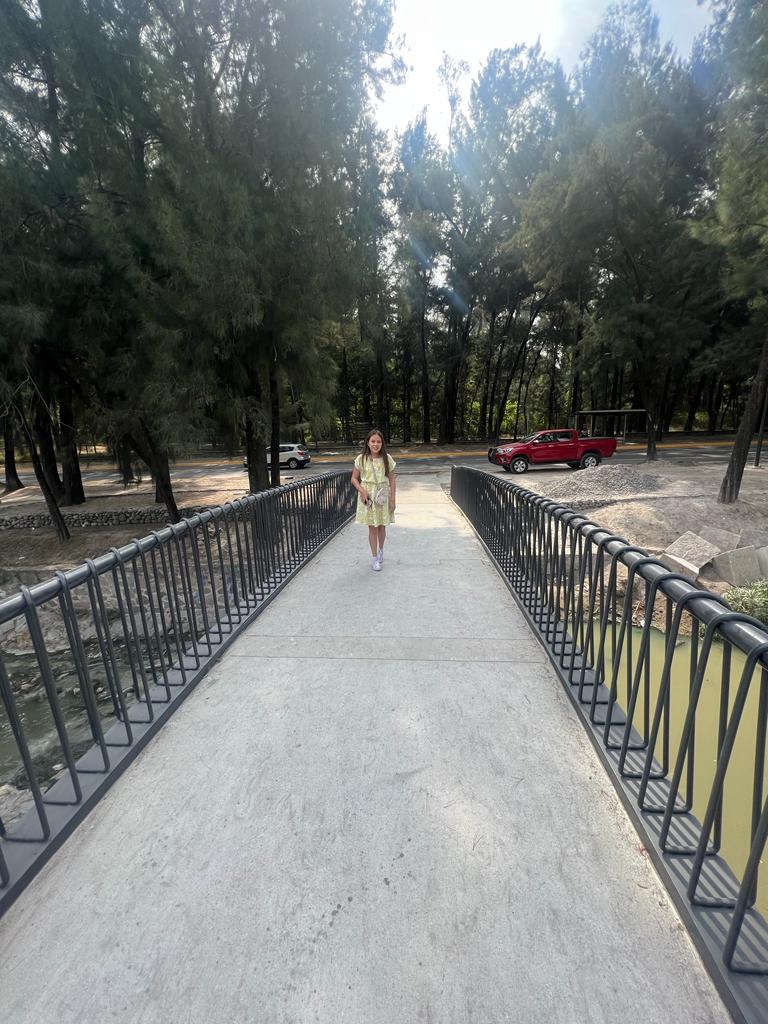 Imagen del proyecto