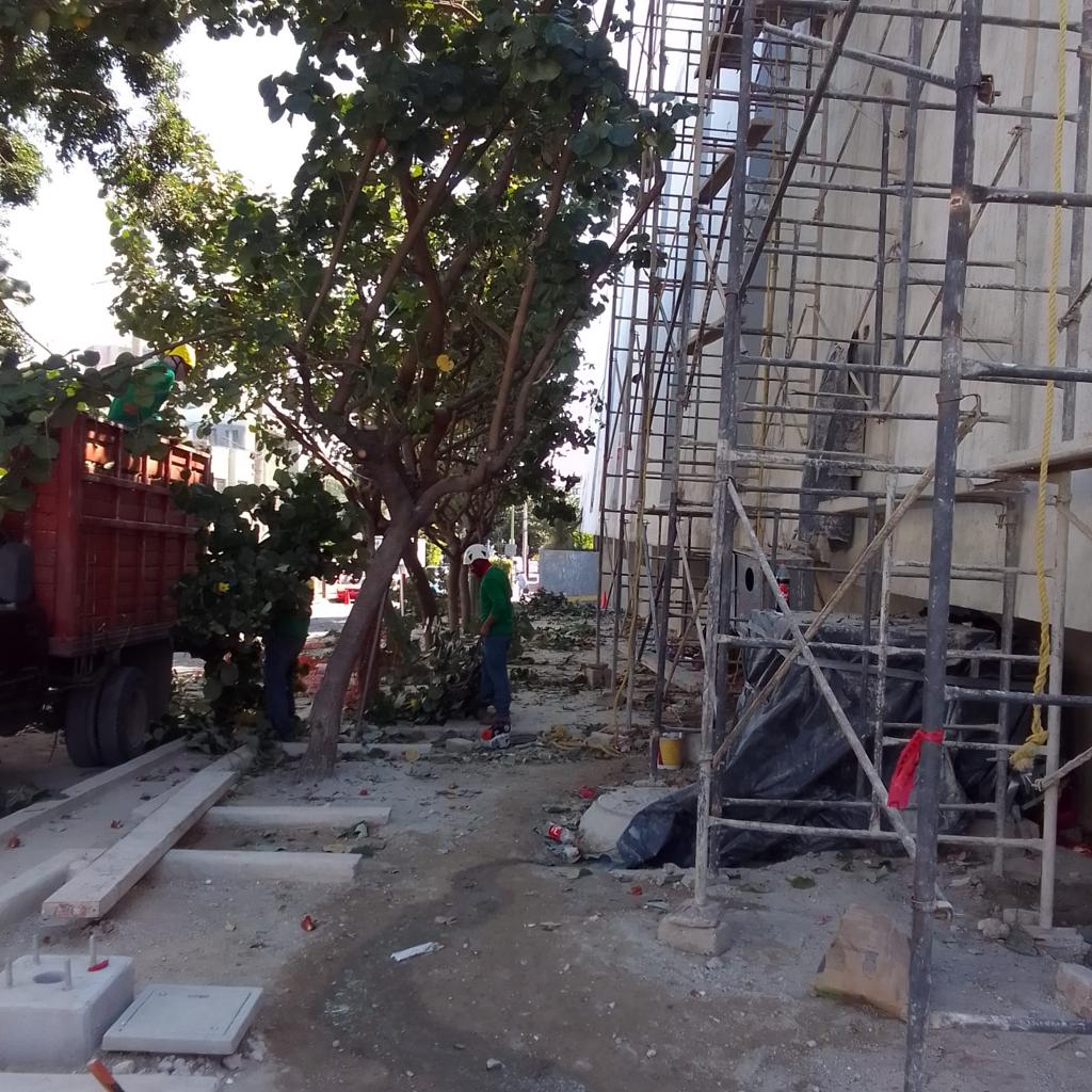 Imagen del proyecto
