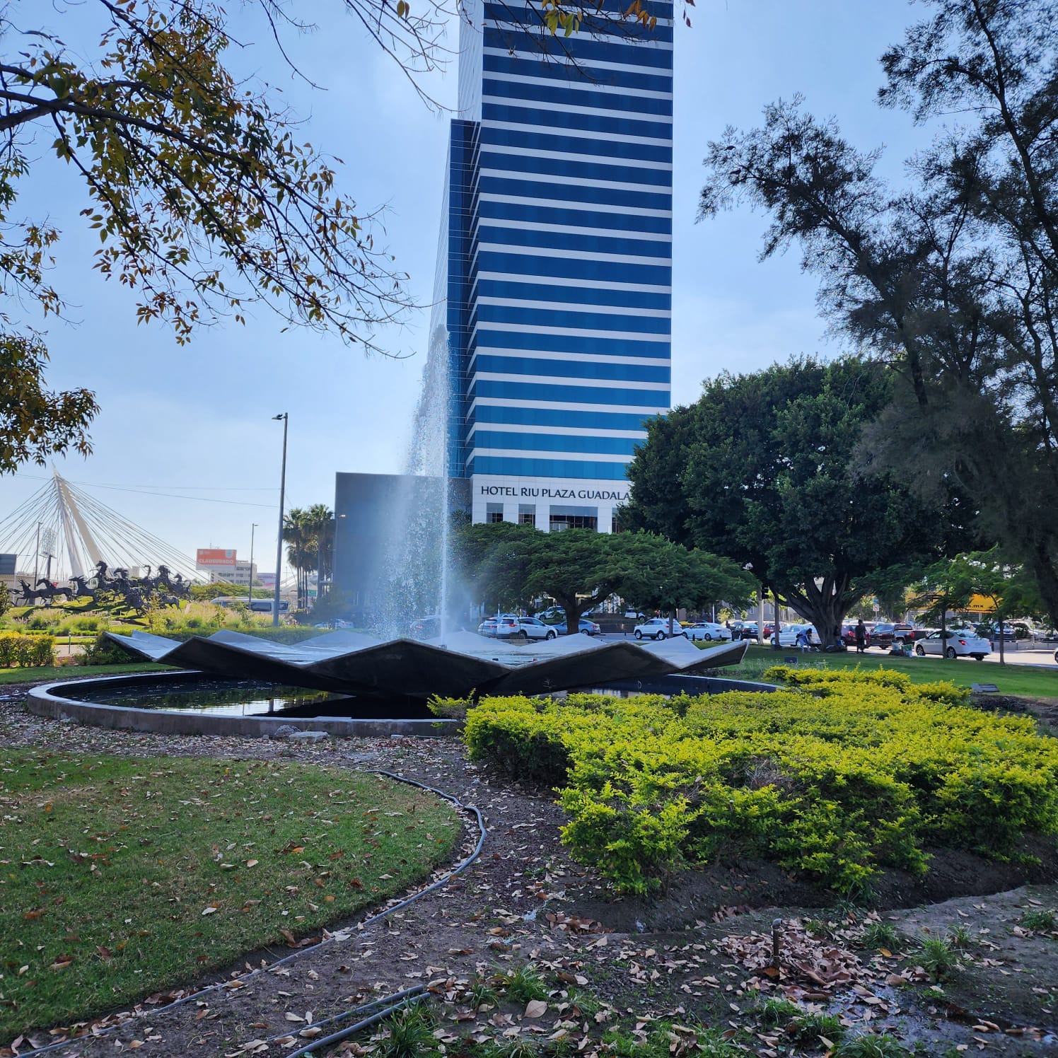Imagen del proyecto