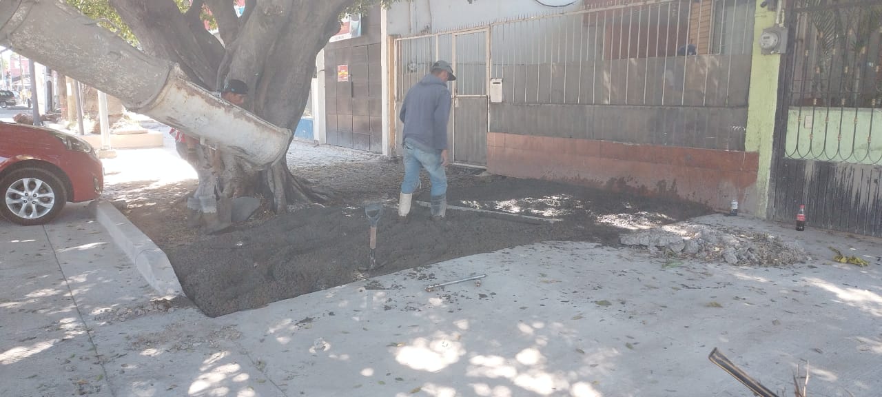 Imagen del proyecto
