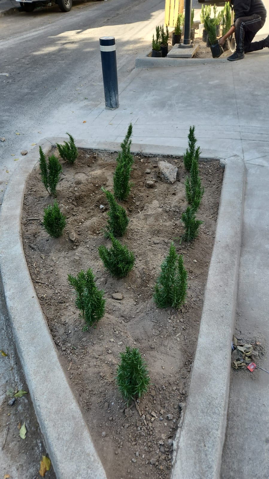 Imagen del proyecto