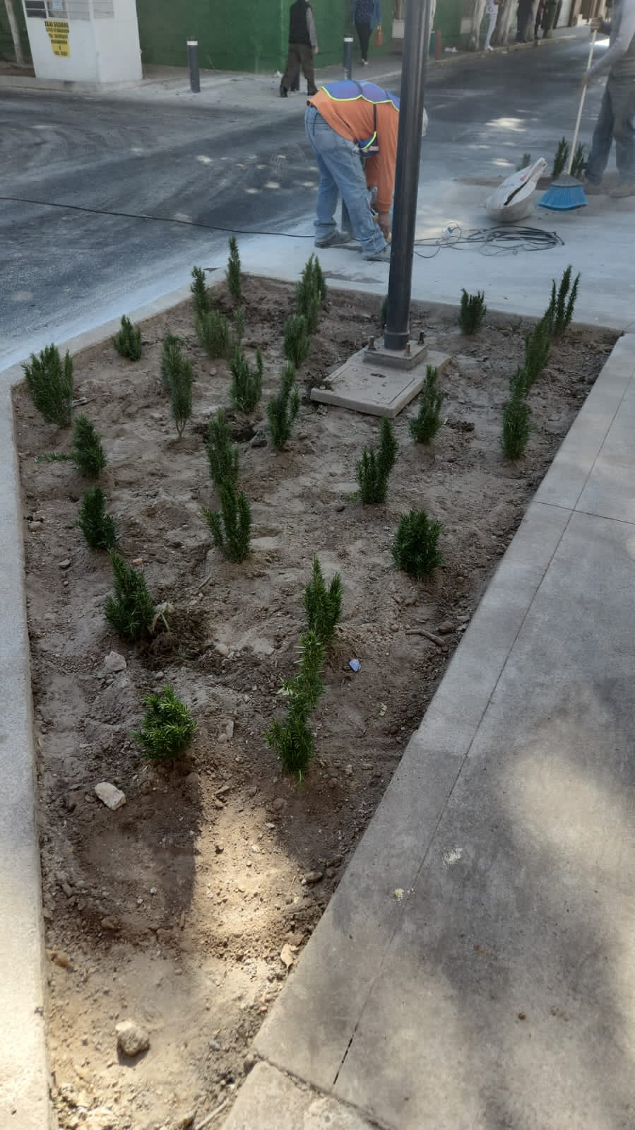 Imagen del Proyecto