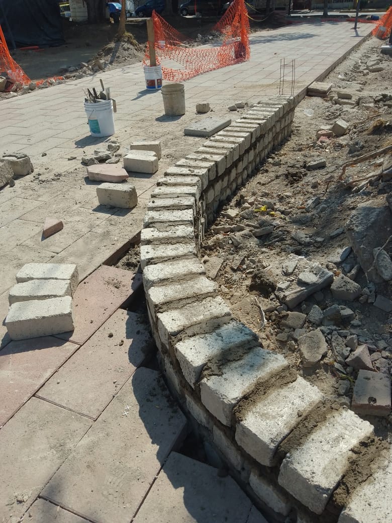 Imagen del proyecto