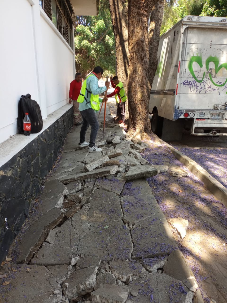 Imagen del proyecto