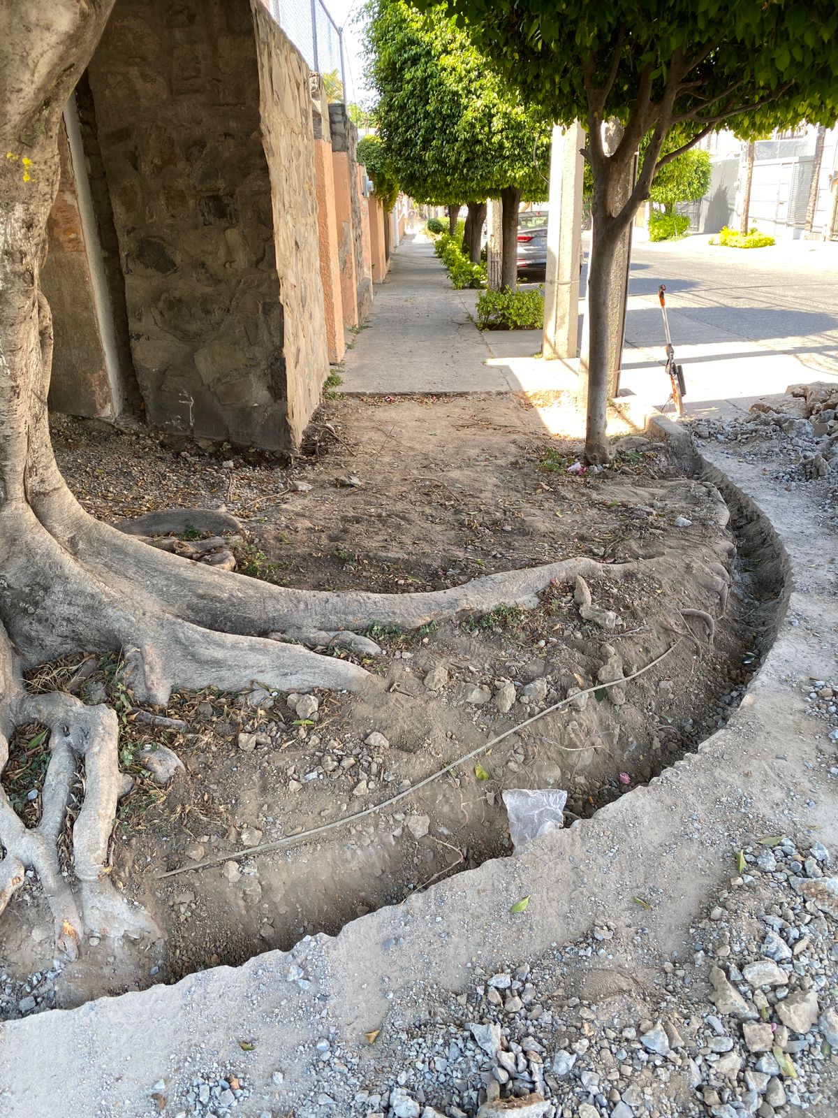 Imagen del proyecto