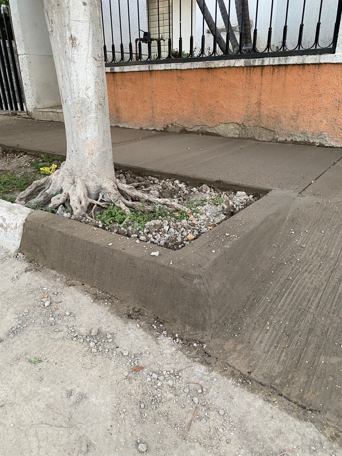 Imagen del proyecto