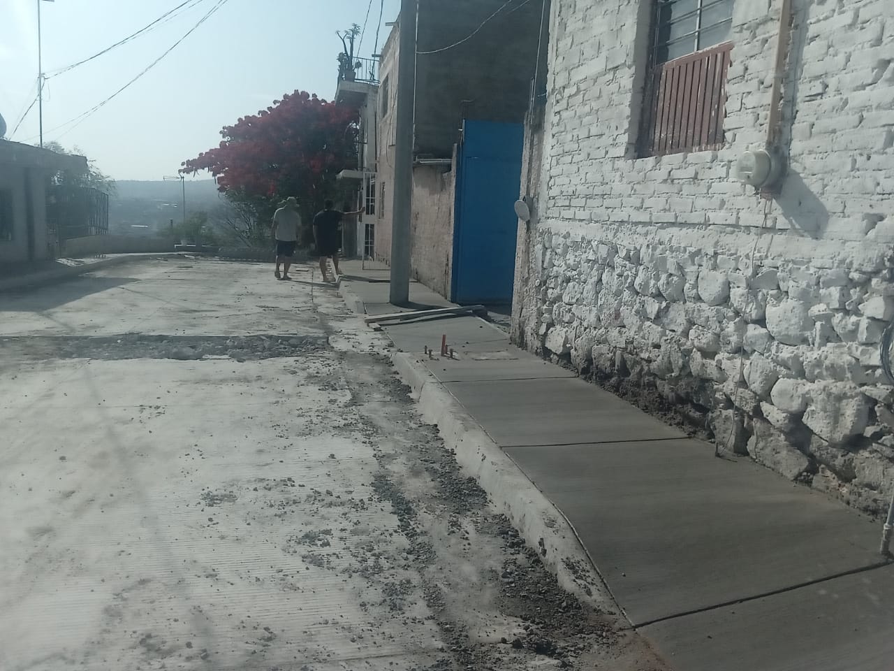 Imagen del proyecto