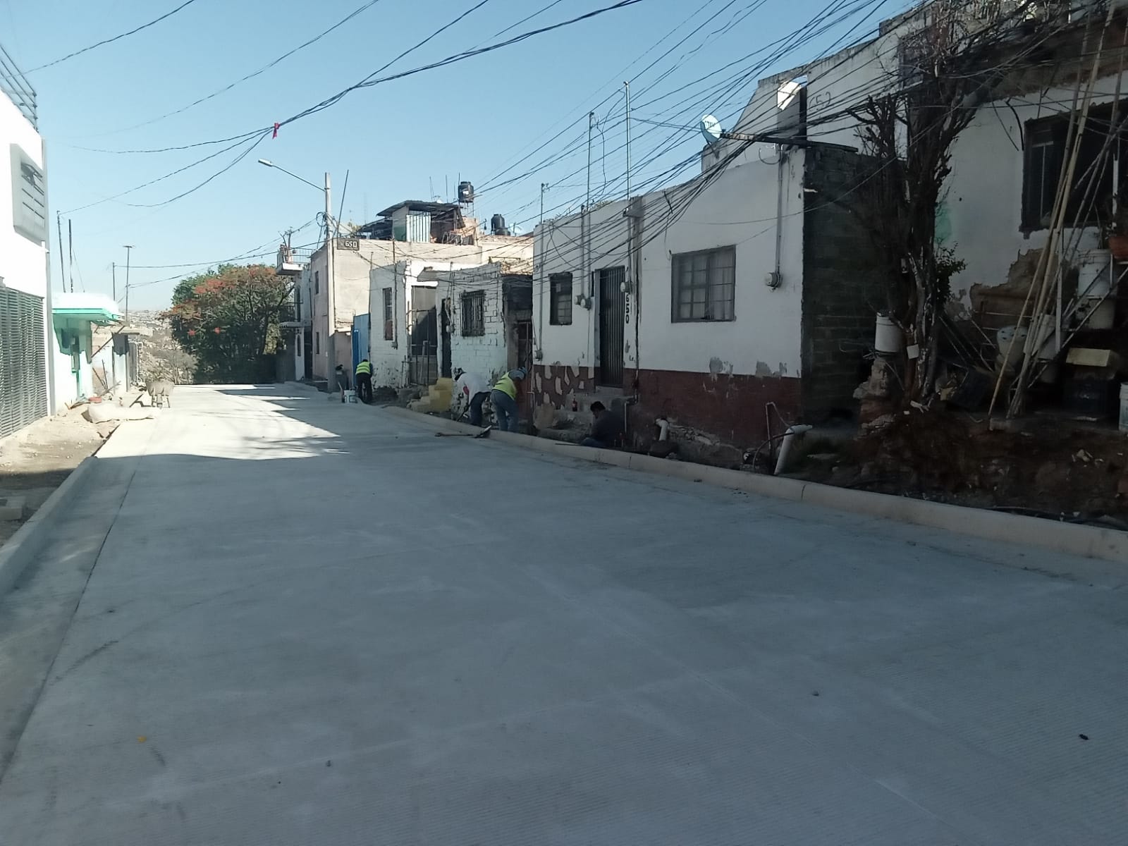 Imagen del proyecto